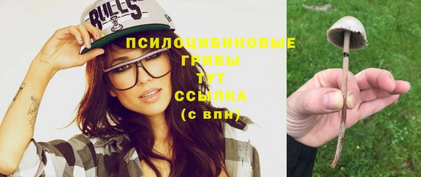 винт Абинск