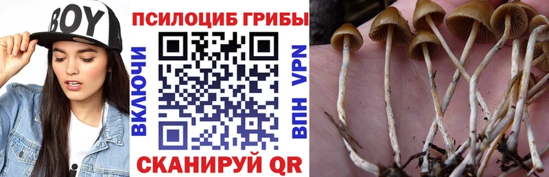Галлюциногенные грибы GOLDEN TEACHER  мориарти формула  Уварово 